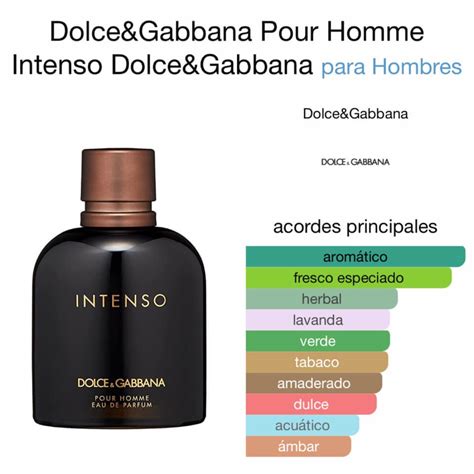 dolce gabbana pour homme 200ml tester|dolce and gabbana intenso notes.